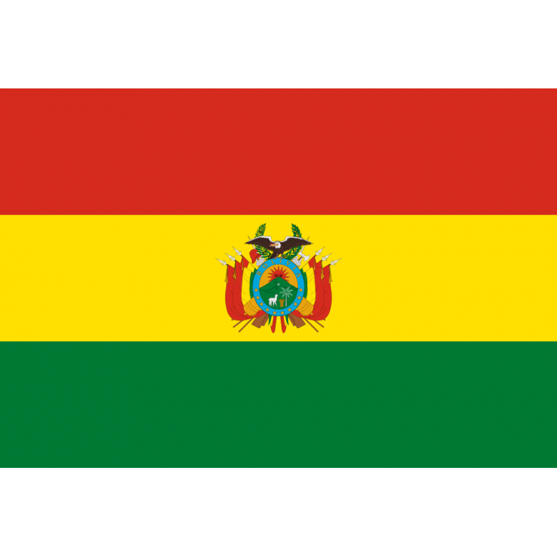 Printable Bolivia Flag Printable Word Searches