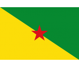 Σημαία Γαλλικής Γουιάνας