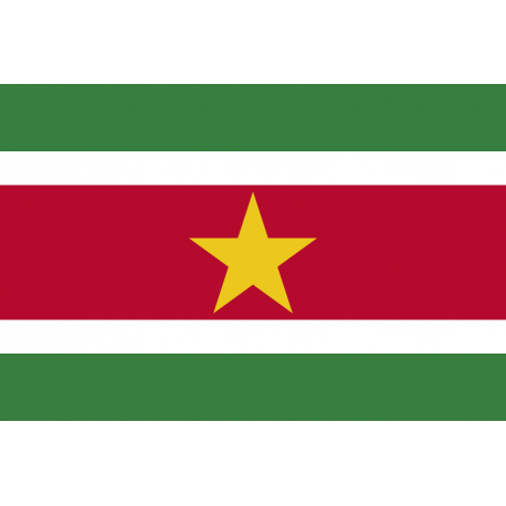 Suriname flag