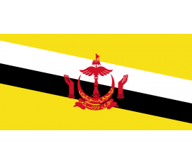 Σημαία Μπρουνέι