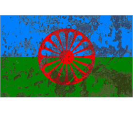 ROMA  FLAG N2