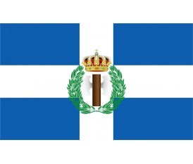  NATIONAL YOUTH ORGANIZATION FLAG N1
