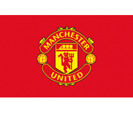 Manchester Flag N1