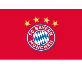 bayern Flag
