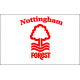 Nottingham forest Flag