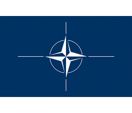 NATO  FLAG