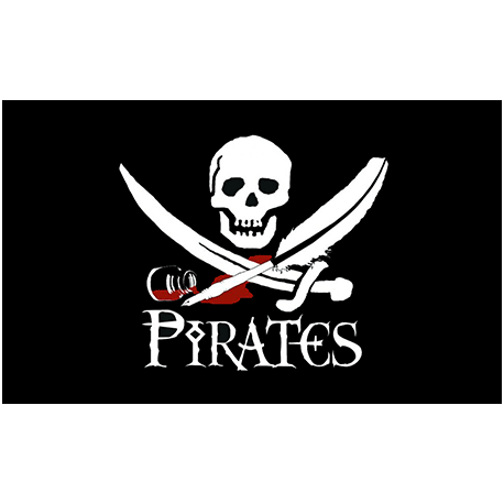 Pirates flags N19
