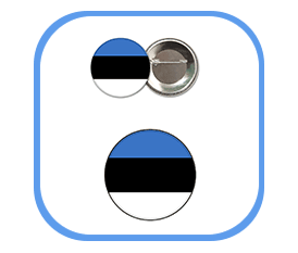 Estonia flag  pins