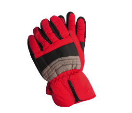 Ski gloves thinsulate